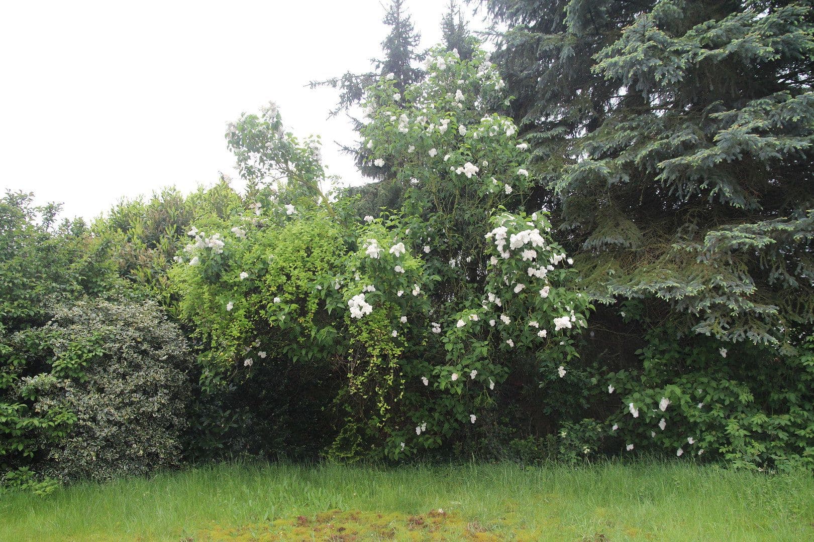 Prodej domu 145 m², pozemek 1.020 m², Erkelenz, Severní Porýní-Vestfálsko Prodej domu 145 m², pozemek 1.020 m², Erkelenz, Severní Porýní-Vestfálsko