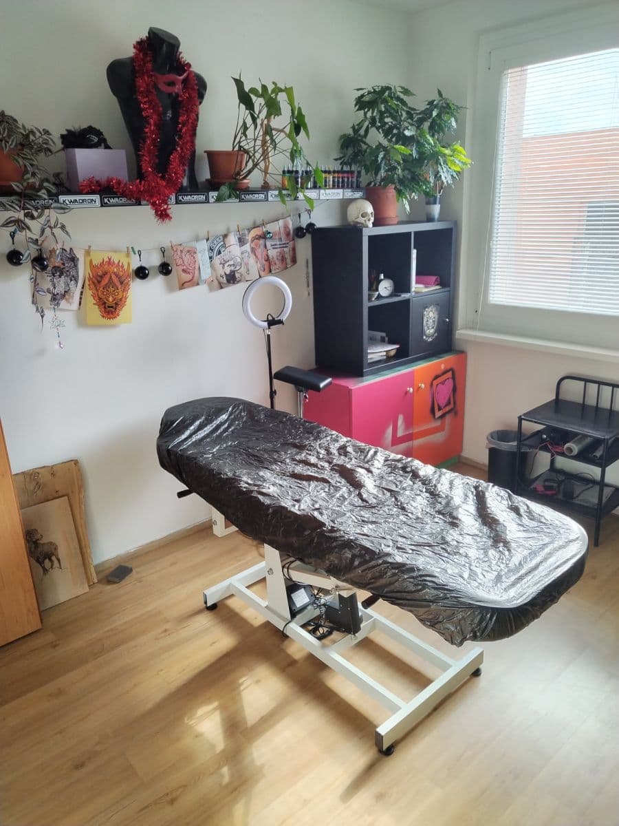 Pronájem bytu 3+kk 13 m², Peškova, Ústí nad Labem, Ústecký kraj Pronájem bytu 3+kk 13 m², Peškova, Ústí nad Labem, Ústecký kraj