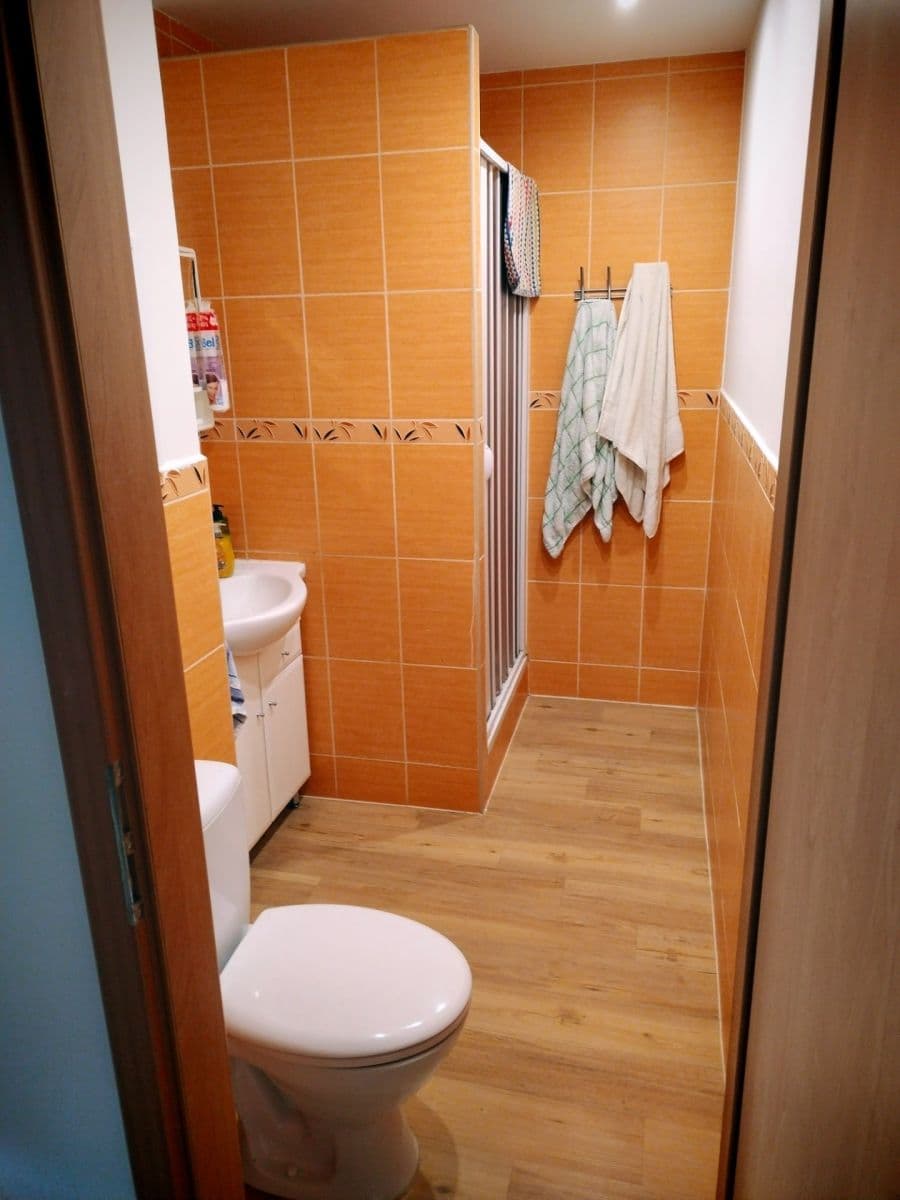 Pronájem bytu 3+kk 13 m², Peškova, Ústí nad Labem, Ústecký kraj Pronájem bytu 3+kk 13 m², Peškova, Ústí nad Labem, Ústecký kraj