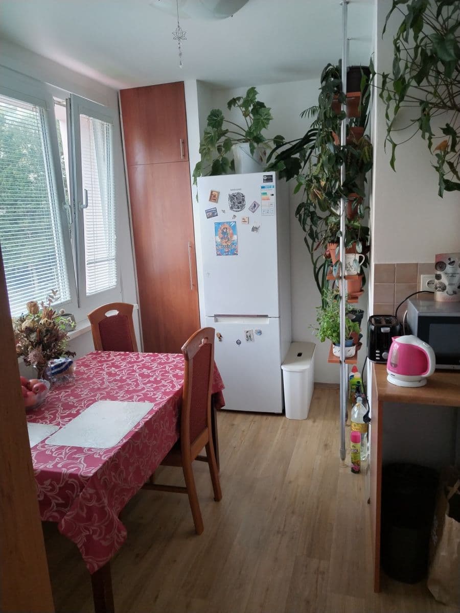 Pronájem bytu 3+kk 13 m², Peškova, Ústí nad Labem, Ústecký kraj Pronájem bytu 3+kk 13 m², Peškova, Ústí nad Labem, Ústecký kraj