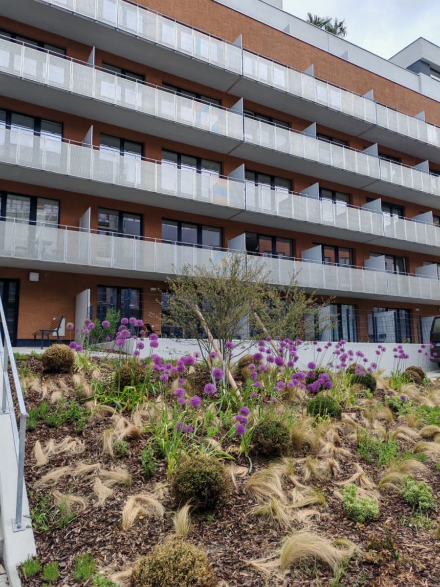Pronájem bytu 1+kk 37 m², Gerstelova, Praha, Praha Pronájem bytu 1+kk 37 m², Gerstelova, Praha, Praha