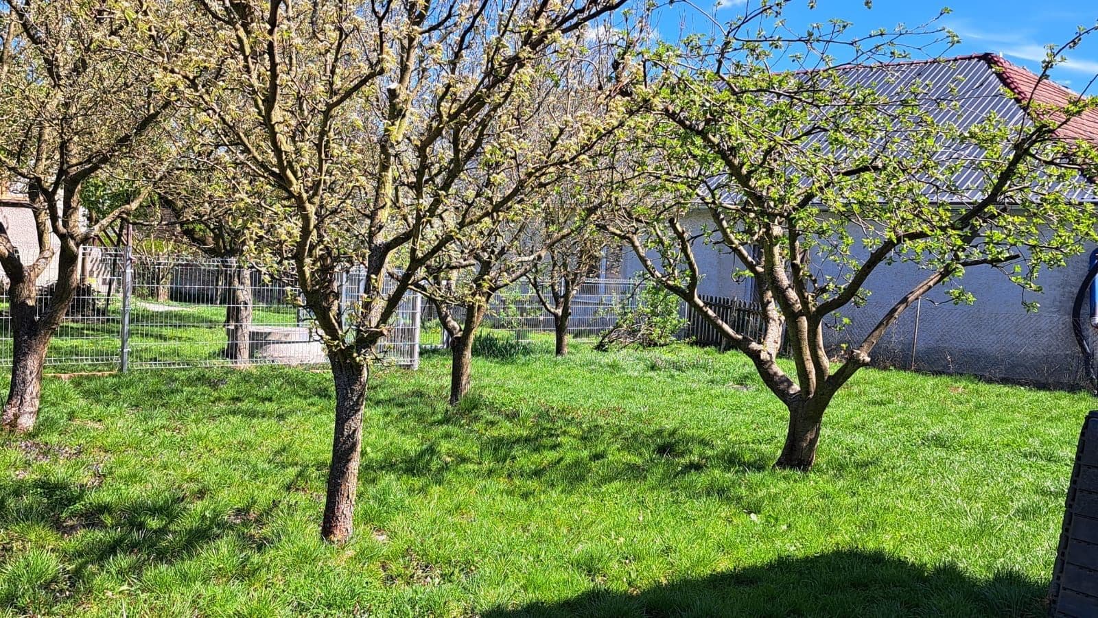 Prodej domu 156 m², pozemek 665 m², Staré Město, Pardubický kraj Prodej domu 156 m², pozemek 665 m², Staré Město, Pardubický kraj