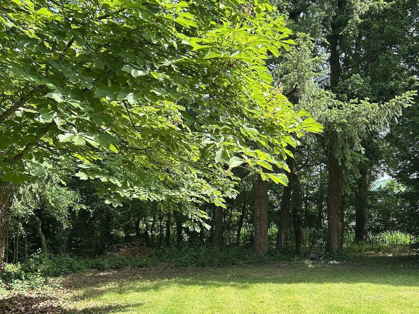 Prodej domu 320 m², pozemek 11.000 m², Kanzem, Porýní-Falc Prodej domu 320 m², pozemek 11.000 m², Kanzem, Porýní-Falc
