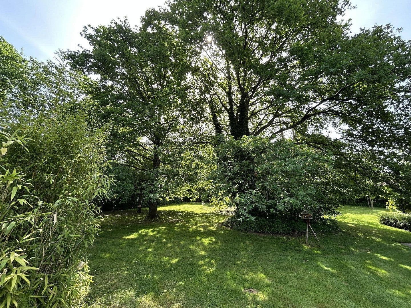Prodej domu 320 m², pozemek 11.000 m², Kanzem, Porýní-Falc Prodej domu 320 m², pozemek 11.000 m², Kanzem, Porýní-Falc