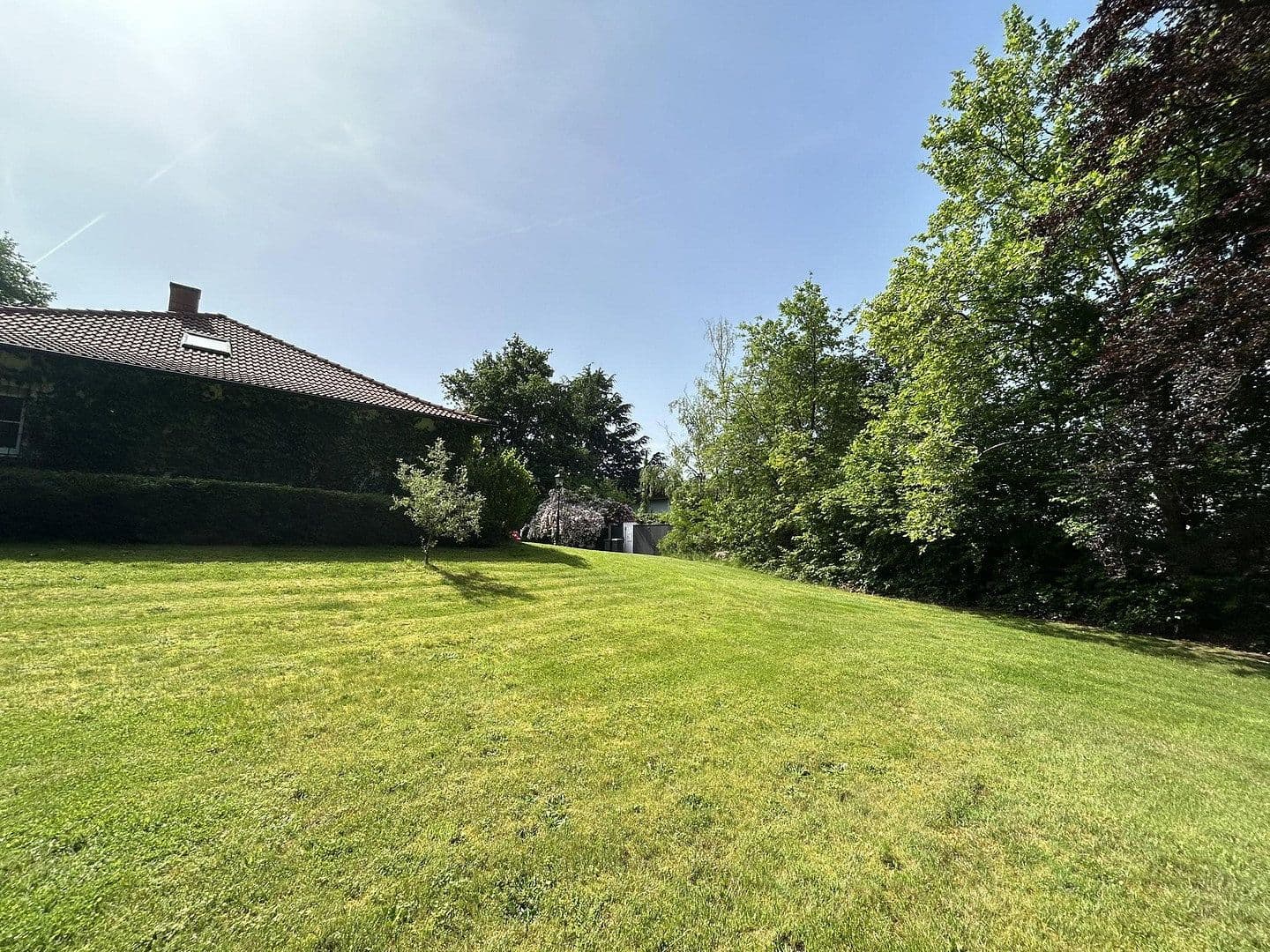 Prodej domu 320 m², pozemek 11.000 m², Kanzem, Porýní-Falc Prodej domu 320 m², pozemek 11.000 m², Kanzem, Porýní-Falc