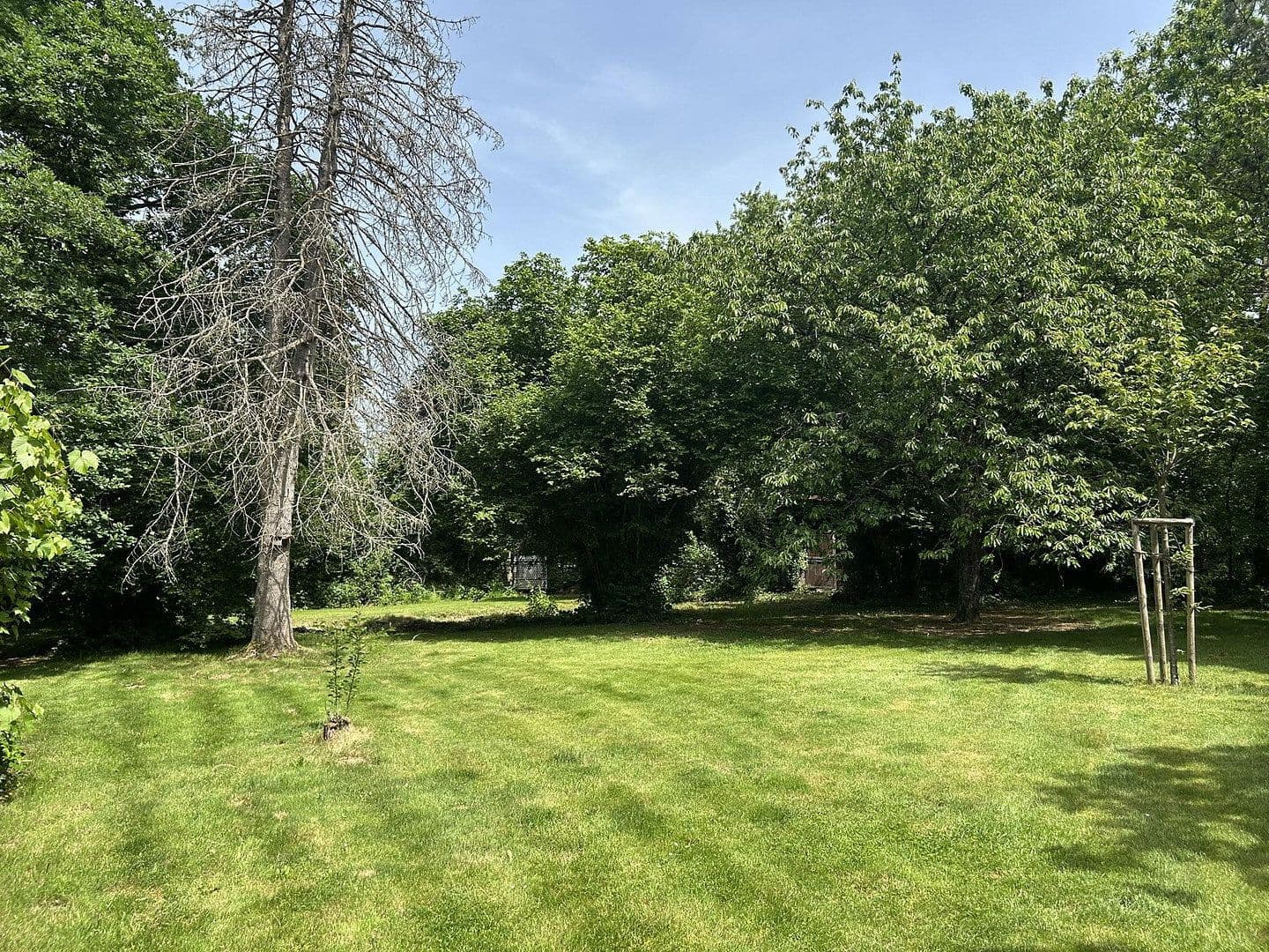 Prodej domu 320 m², pozemek 11.000 m², Kanzem, Porýní-Falc Prodej domu 320 m², pozemek 11.000 m², Kanzem, Porýní-Falc