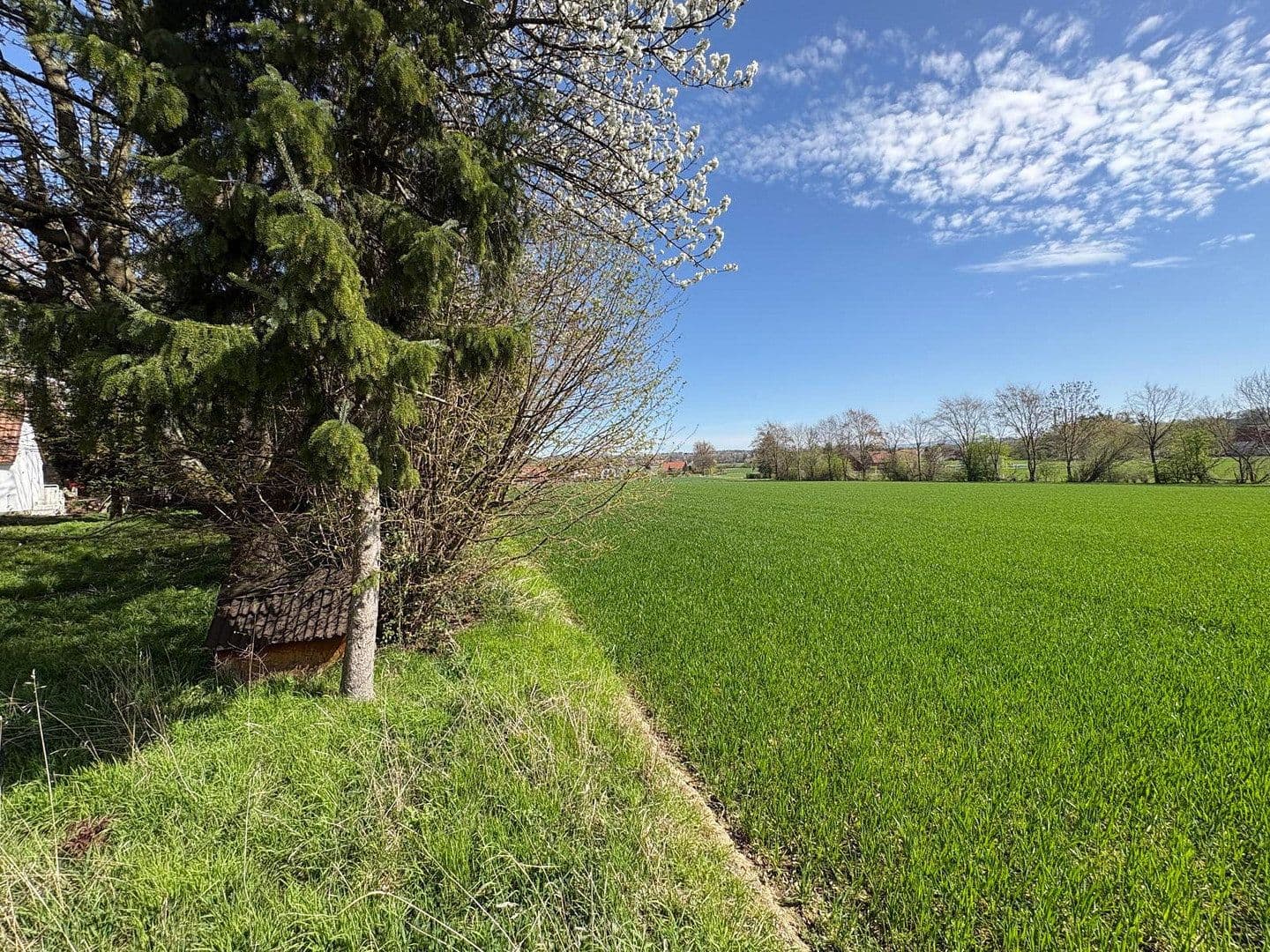 Prodej domu 300 m², pozemek 2.432 m², Möllberger Heide 105, Porta Westfalica, Severní Porýní-Vestfálsko Prodej domu 300 m², pozemek 2.432 m², Möllberger Heide 105, Porta Westfalica, Severní Porýní-Vestfálsko