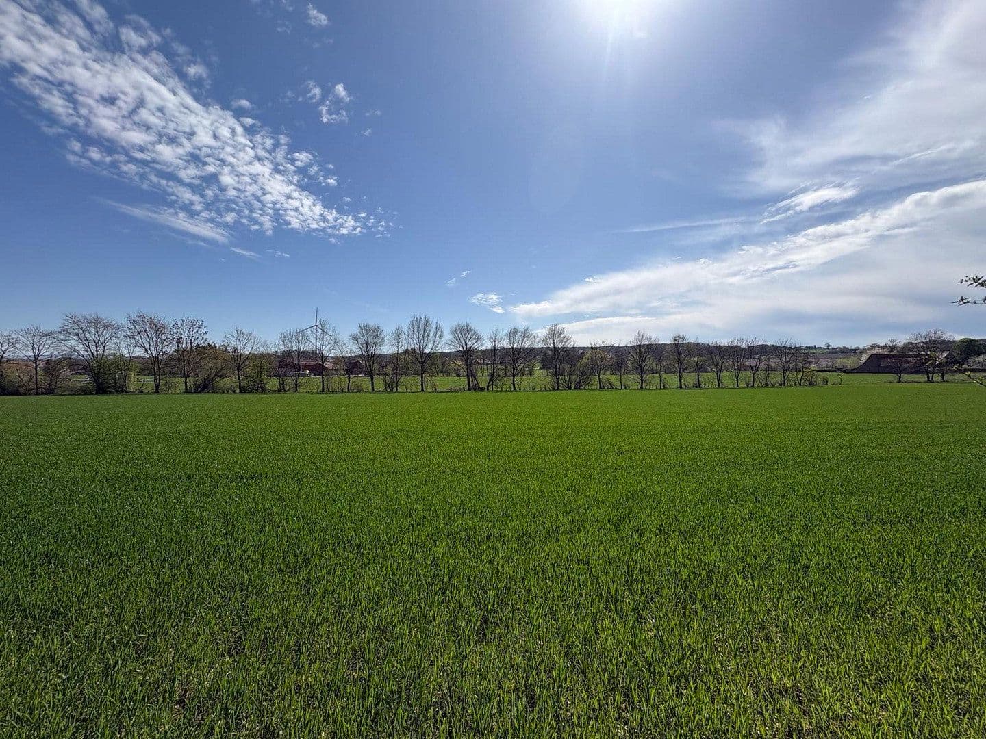 Prodej domu 300 m², pozemek 2.432 m², Möllberger Heide 105, Porta Westfalica, Severní Porýní-Vestfálsko Prodej domu 300 m², pozemek 2.432 m², Möllberger Heide 105, Porta Westfalica, Severní Porýní-Vestfálsko