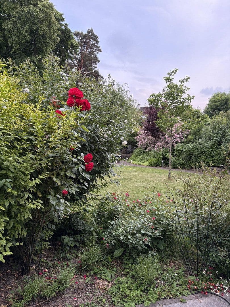 Prodej domu 195 m², pozemek 614 m², Mönchengladbach, Severní Porýní-Vestfálsko Prodej domu 195 m², pozemek 614 m², Mönchengladbach, Severní Porýní-Vestfálsko