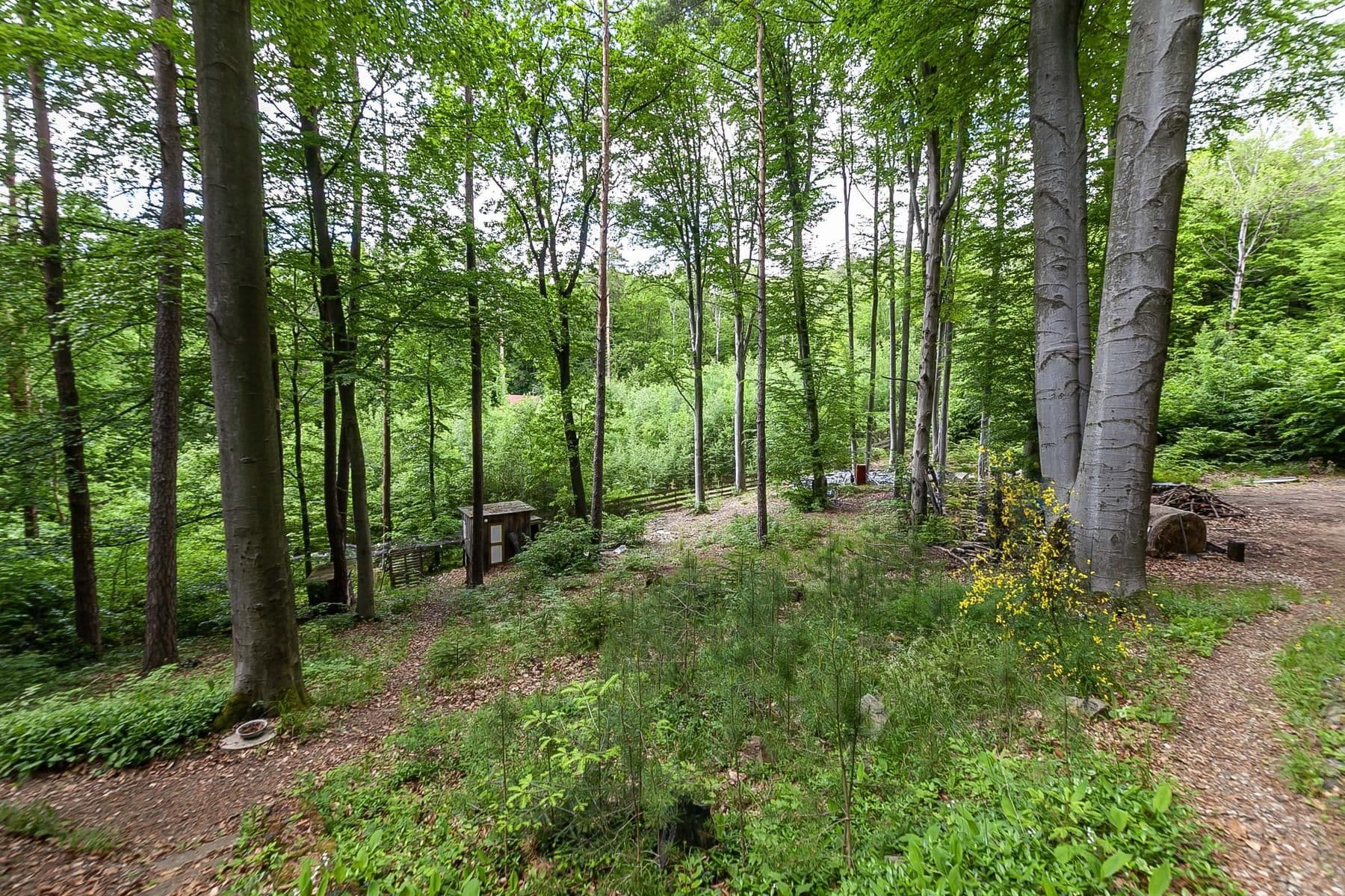Prodej chaty, chalupy 50 m², pozemek 2.736 m², Slapy, Jihočeský kraj Prodej chaty, chalupy 50 m², pozemek 2.736 m², Slapy, Jihočeský kraj
