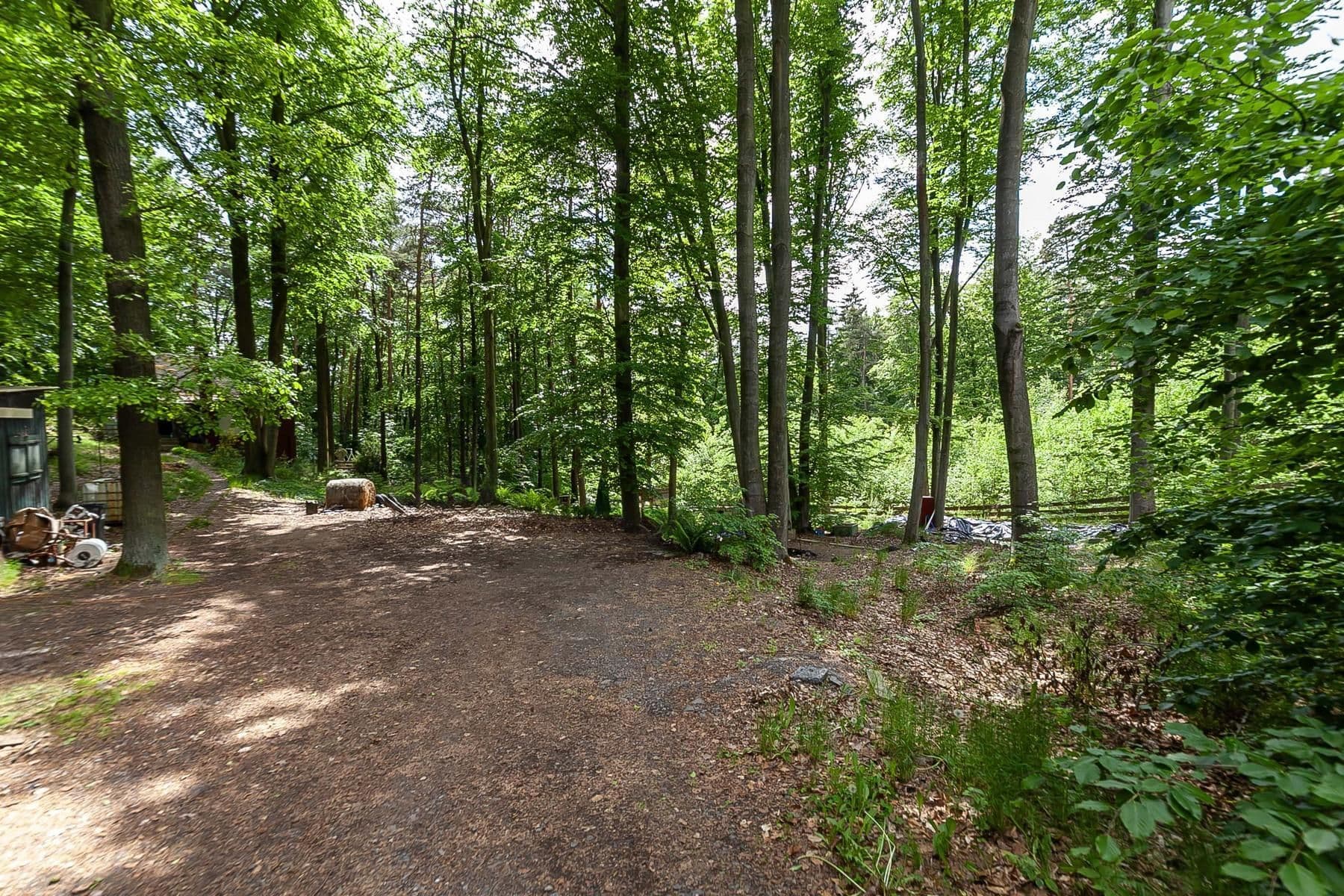 Prodej chaty, chalupy 50 m², pozemek 2.736 m², Slapy, Jihočeský kraj Prodej chaty, chalupy 50 m², pozemek 2.736 m², Slapy, Jihočeský kraj