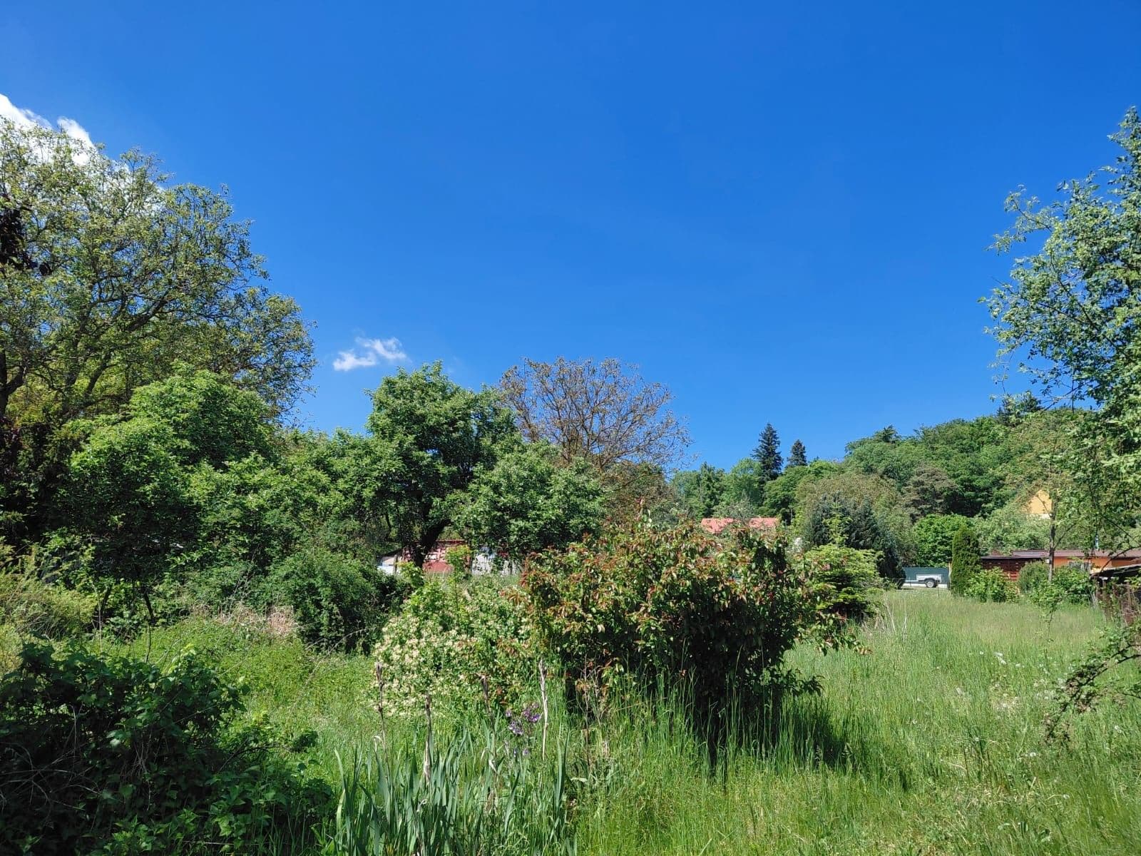 Pronájem pozemku 477 m², Zbiroh, Plzeňský kraj Pronájem pozemku 477 m², Zbiroh, Plzeňský kraj