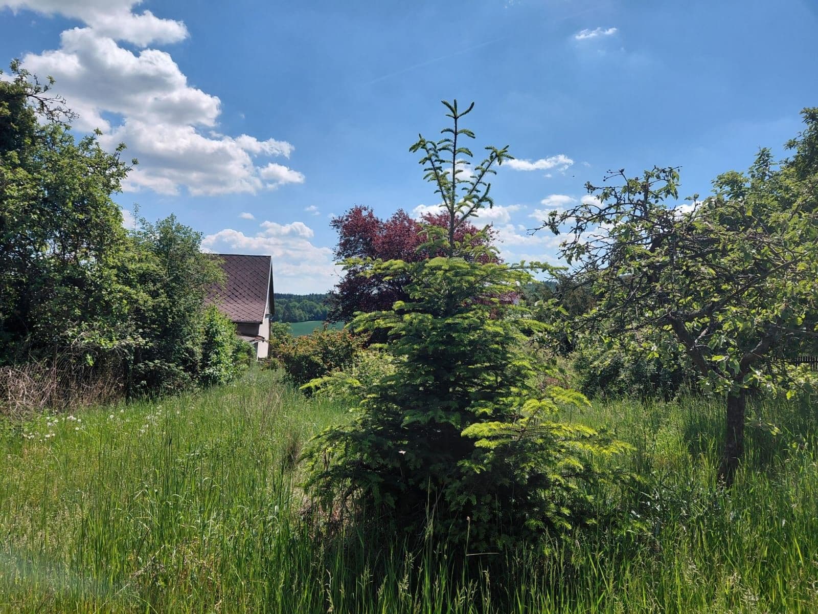 Pronájem pozemku 477 m², Zbiroh, Plzeňský kraj Pronájem pozemku 477 m², Zbiroh, Plzeňský kraj