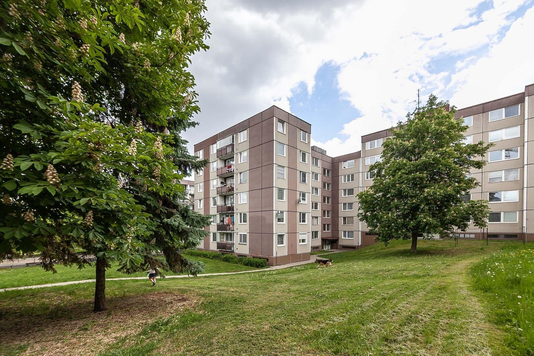 Prodej bytu 1+1 45 m², Geologická, Praha, Praha Prodej bytu 1+1 45 m², Geologická, Praha, Praha