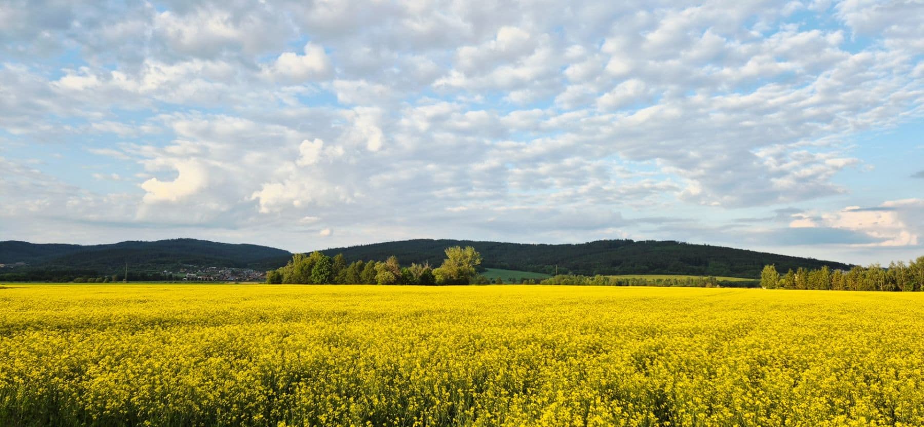 Prodej domu 201 m², pozemek 1.100 m², Hrabová, Olomoucký kraj Prodej domu 201 m², pozemek 1.100 m², Hrabová, Olomoucký kraj