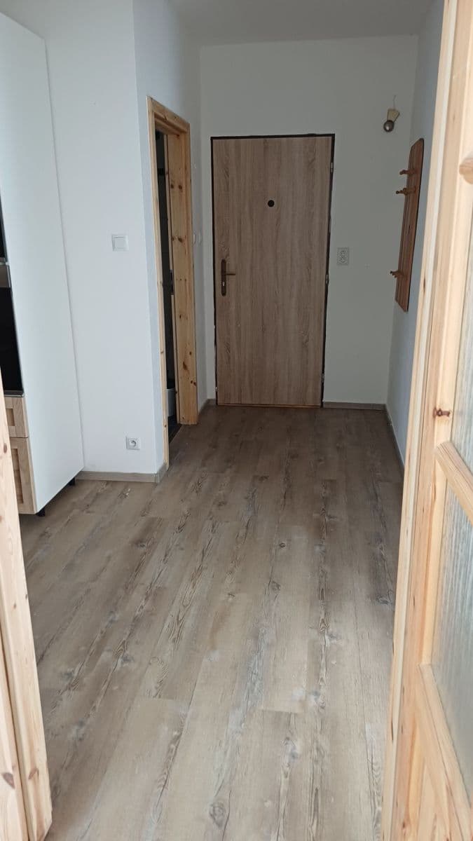 Pronájem bytu 2+1 51 m², Londýnská, Liberec, Liberecký kraj Pronájem bytu 2+1 51 m², Londýnská, Liberec, Liberecký kraj