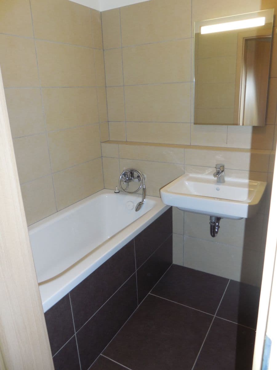Pronájem bytu 1+kk 32 m², Jabloňová, Moravany, Jihomoravský kraj Pronájem bytu 1+kk 32 m², Jabloňová, Moravany, Jihomoravský kraj