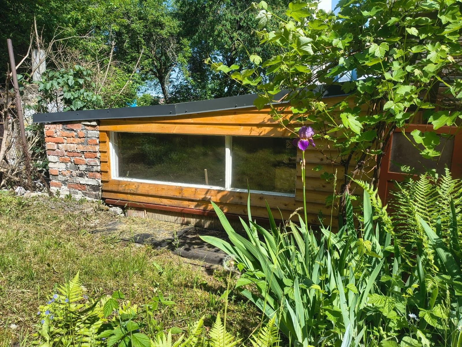 Prodej chaty, chalupy 14 m², pozemek 529 m², Pod Novým lesem, Praha, Praha Prodej chaty, chalupy 14 m², pozemek 529 m², Pod Novým lesem, Praha, Praha