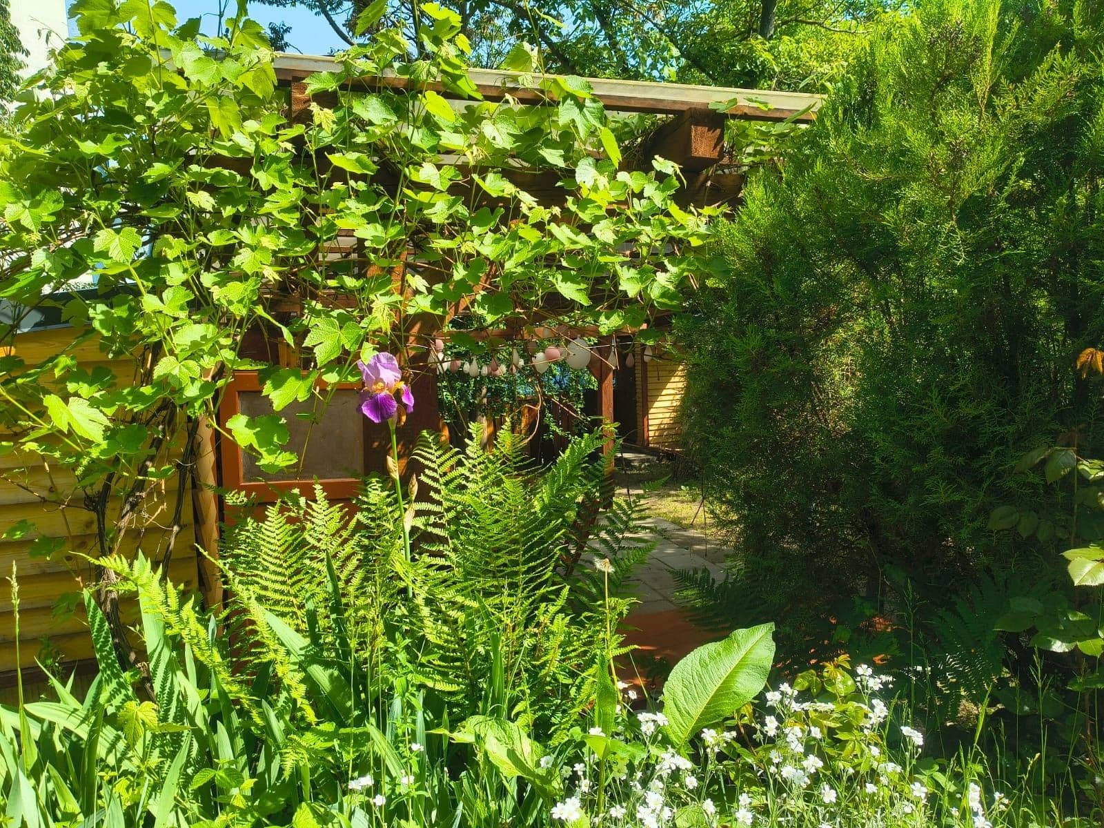 Prodej chaty, chalupy 14 m², pozemek 529 m², Pod Novým lesem, Praha, Praha Prodej chaty, chalupy 14 m², pozemek 529 m², Pod Novým lesem, Praha, Praha