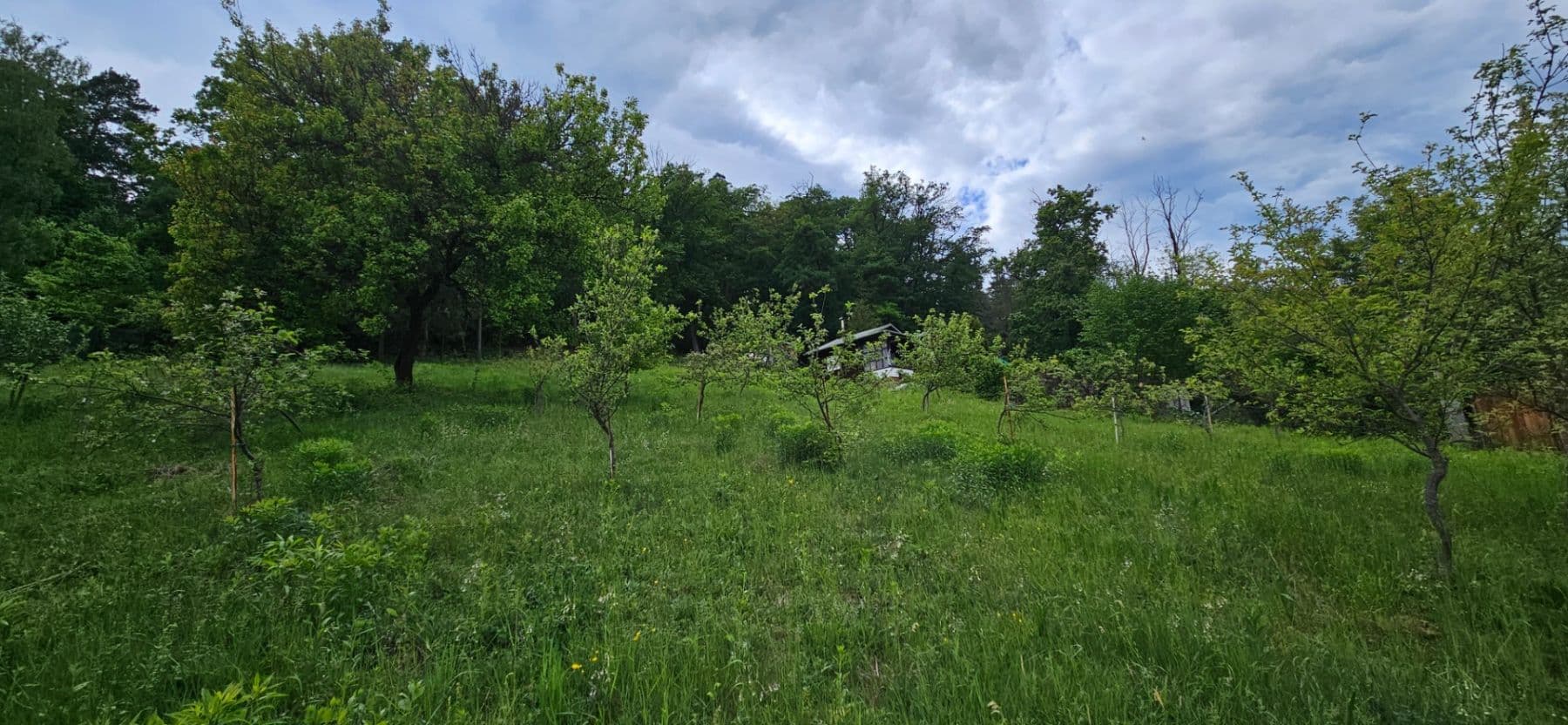 Pronájem pozemku 5.966 m², Muškátová, Brno, Jihomoravský kraj Pronájem pozemku 5.966 m², Muškátová, Brno, Jihomoravský kraj