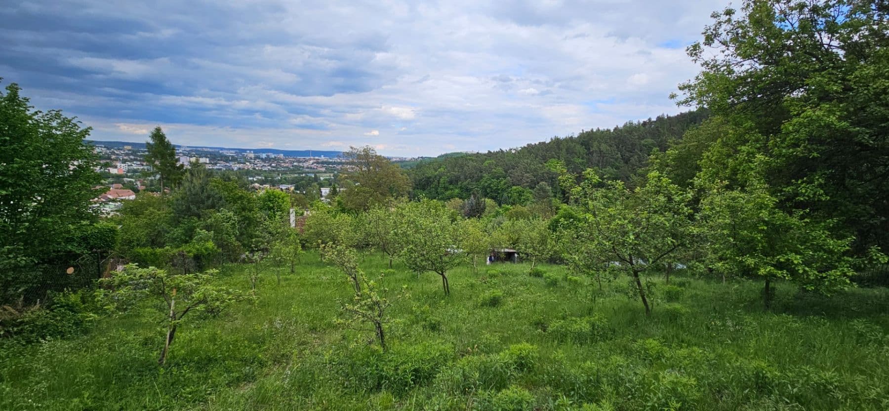 Pronájem pozemku 5.966 m², Muškátová, Brno, Jihomoravský kraj Pronájem pozemku 5.966 m², Muškátová, Brno, Jihomoravský kraj