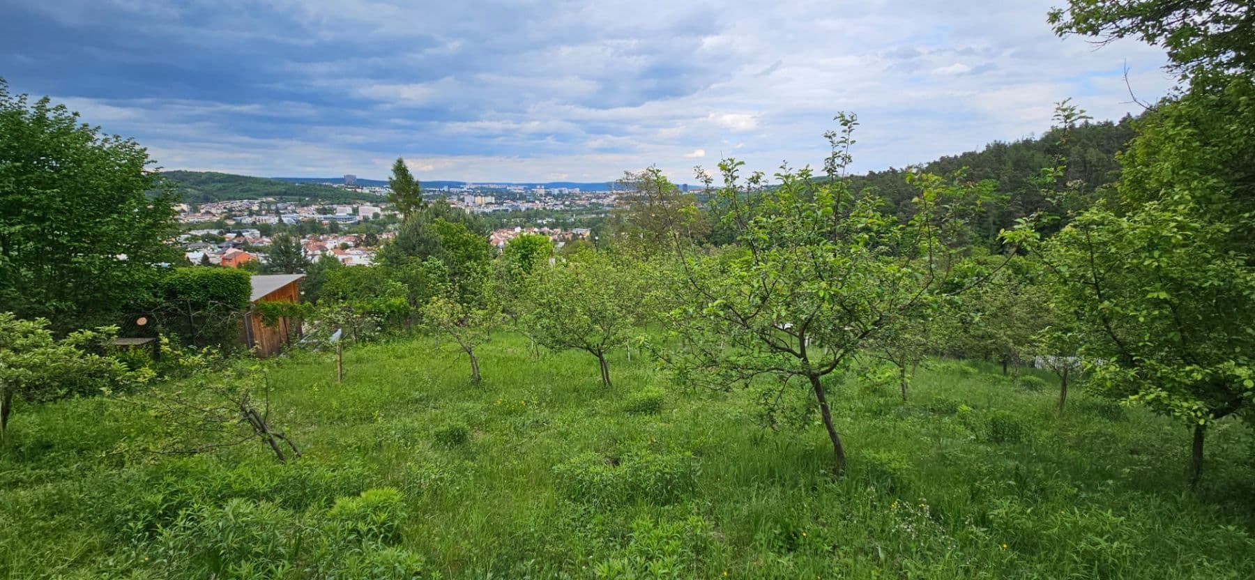 Pronájem pozemku 5.966 m², Muškátová, Brno, Jihomoravský kraj Pronájem pozemku 5.966 m², Muškátová, Brno, Jihomoravský kraj