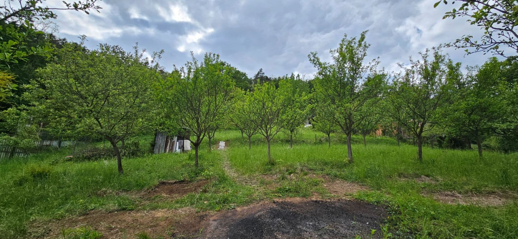 Pronájem pozemku 5.966 m², Muškátová, Brno, Jihomoravský kraj Pronájem pozemku 5.966 m², Muškátová, Brno, Jihomoravský kraj