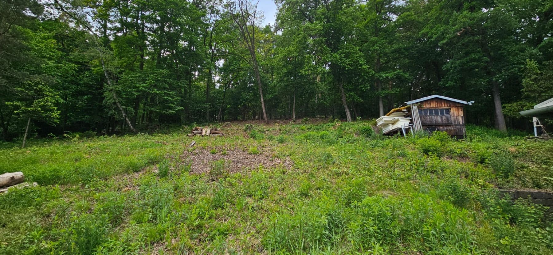 Pronájem pozemku 5.966 m², Muškátová, Brno, Jihomoravský kraj Pronájem pozemku 5.966 m², Muškátová, Brno, Jihomoravský kraj