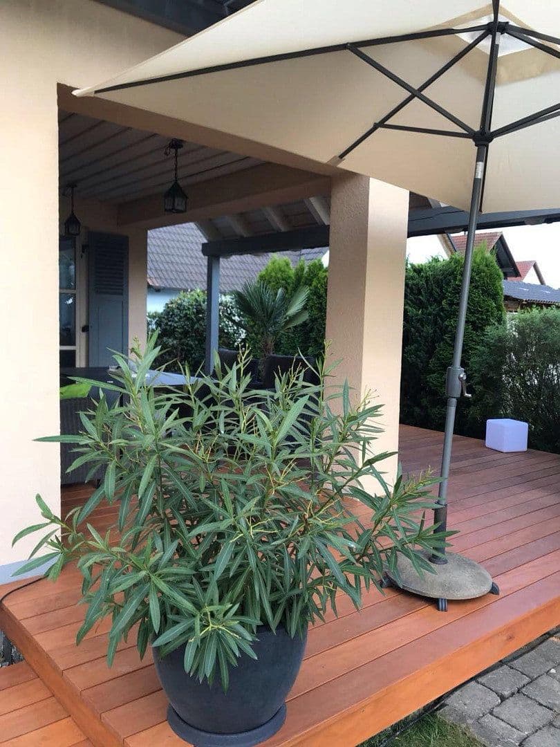 Prodej domu 198 m², pozemek 765 m², Ellgau, Bavorsko Prodej domu 198 m², pozemek 765 m², Ellgau, Bavorsko