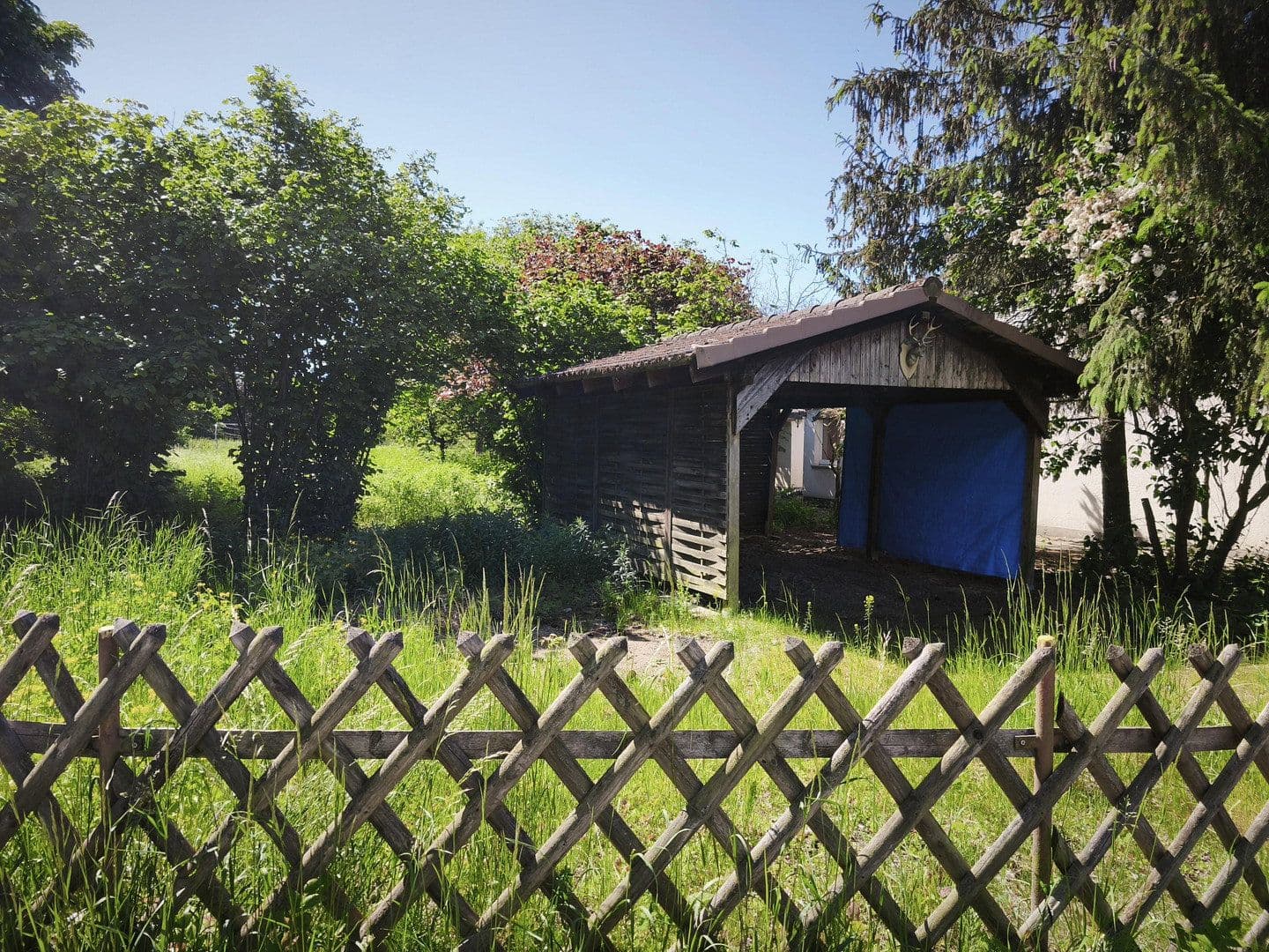 Prodej domu 90 m², pozemek 1.887 m², Grünstraße 17, Zahna-Elster, Sasko-Anhaltsko Prodej domu 90 m², pozemek 1.887 m², Grünstraße 17, Zahna-Elster, Sasko-Anhaltsko