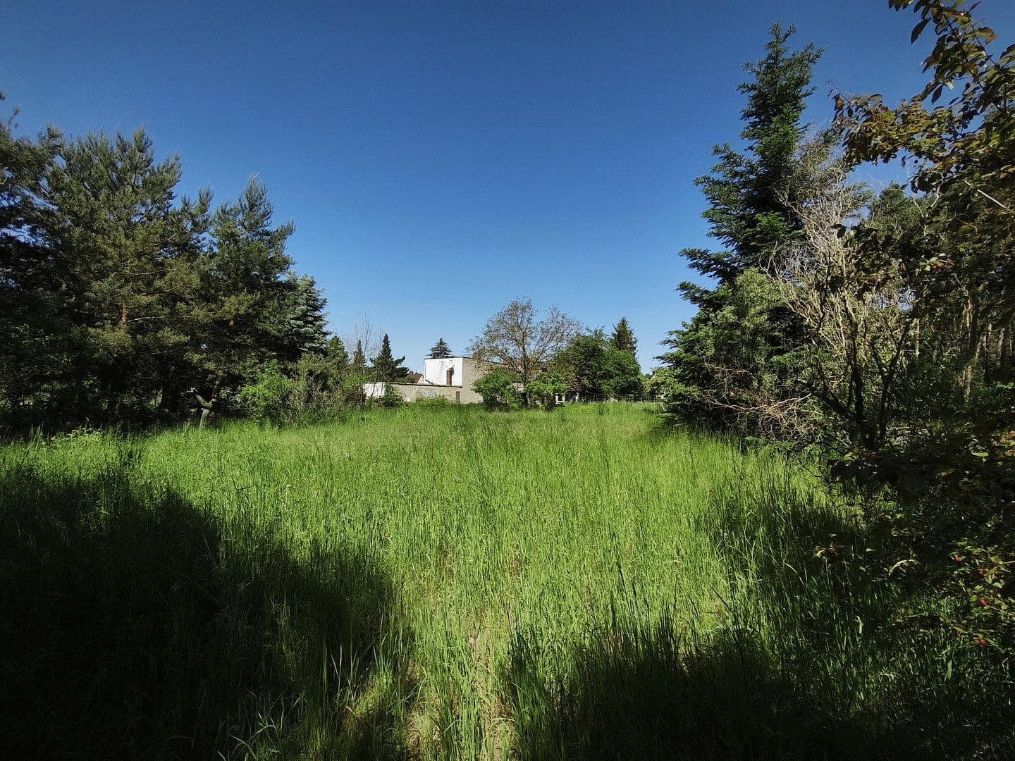 Prodej domu 90 m², pozemek 1.887 m², Grünstraße 17, Zahna-Elster, Sasko-Anhaltsko Prodej domu 90 m², pozemek 1.887 m², Grünstraße 17, Zahna-Elster, Sasko-Anhaltsko