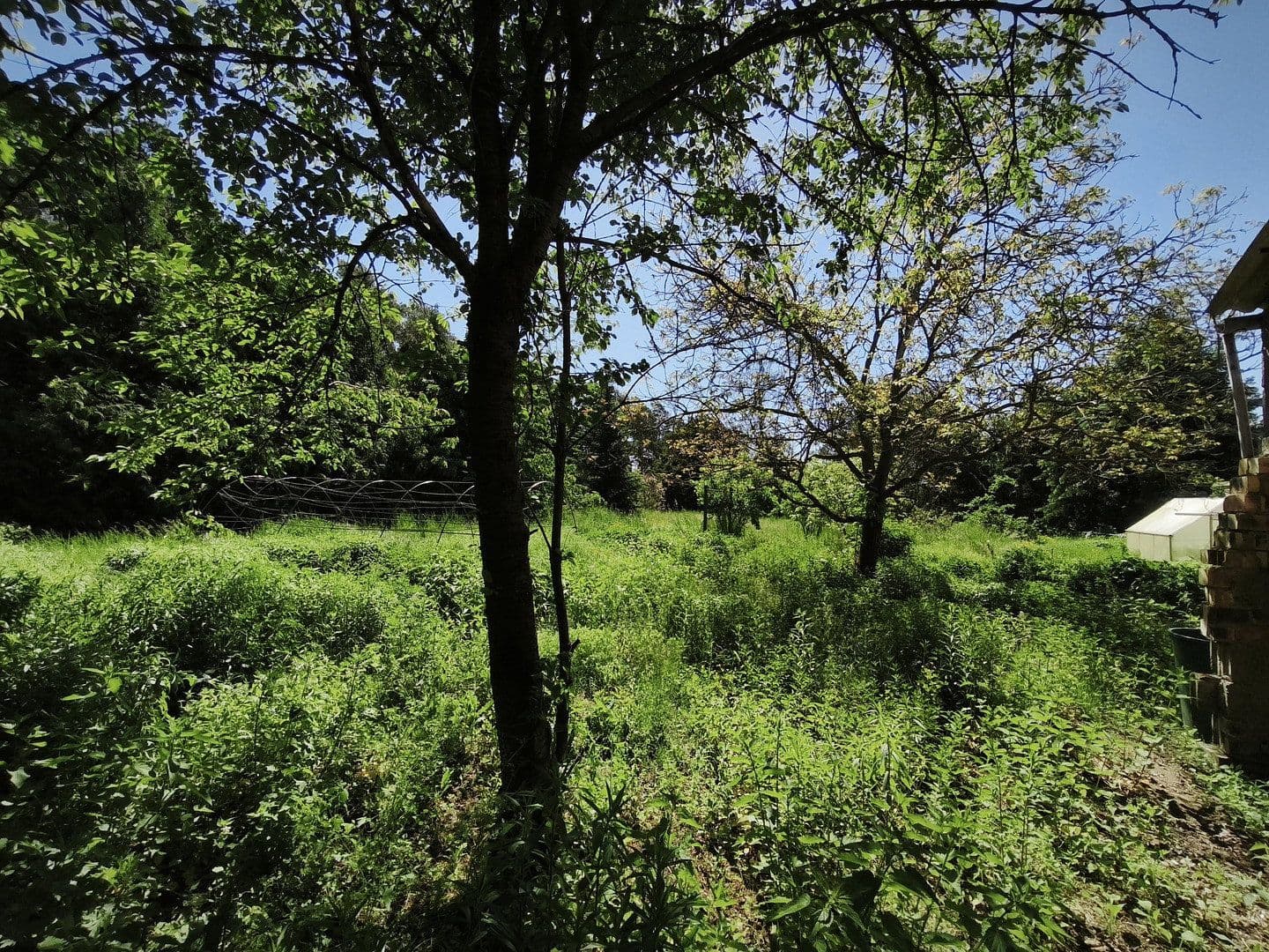 Prodej domu 90 m², pozemek 1.887 m², Grünstraße 17, Zahna-Elster, Sasko-Anhaltsko Prodej domu 90 m², pozemek 1.887 m², Grünstraße 17, Zahna-Elster, Sasko-Anhaltsko
