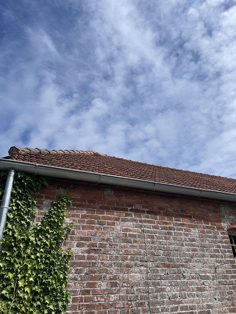 Pronájem domu 550 m², pozemek 901 m², Hauptstraße 50a, Hage, Dolní Sasko Pronájem domu 550 m², pozemek 901 m², Hauptstraße 50a, Hage, Dolní Sasko