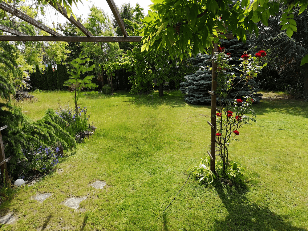 Prodej domu 70 m², pozemek 1.054 m², Hoppegarten, Braniborsko Prodej domu 70 m², pozemek 1.054 m², Hoppegarten, Braniborsko