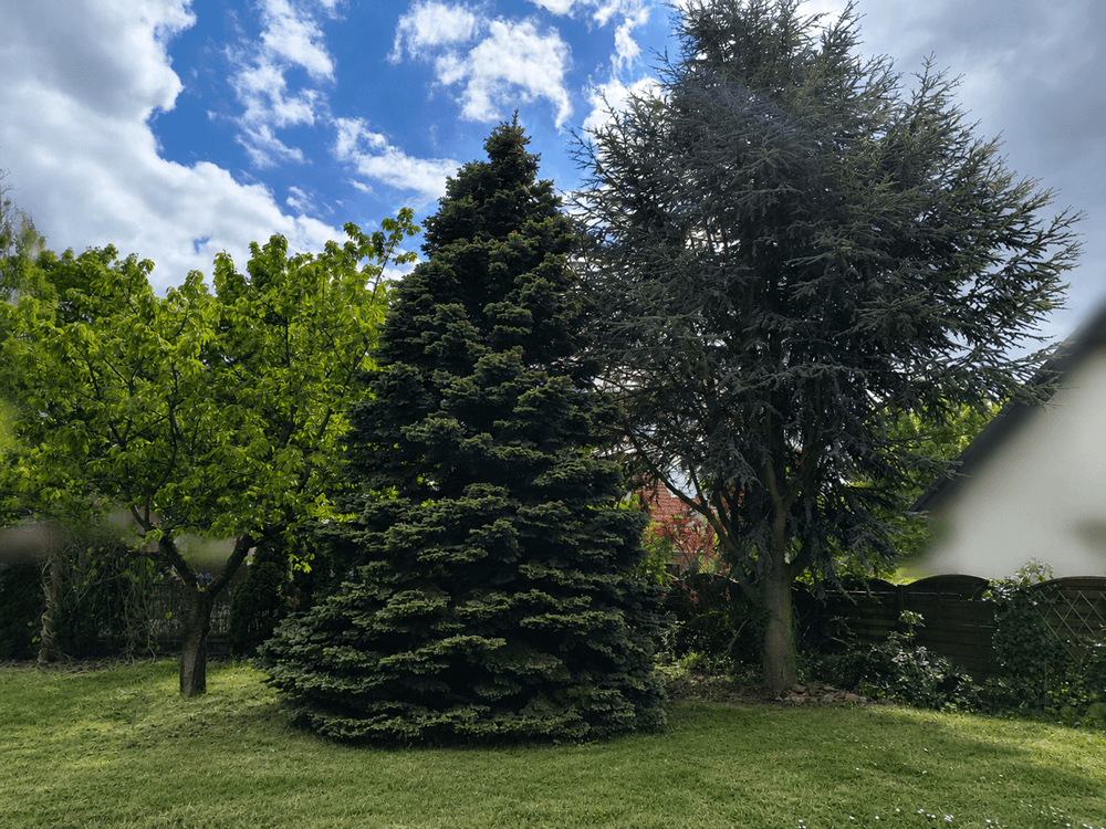 Prodej domu 70 m², pozemek 1.054 m², Hoppegarten, Braniborsko Prodej domu 70 m², pozemek 1.054 m², Hoppegarten, Braniborsko