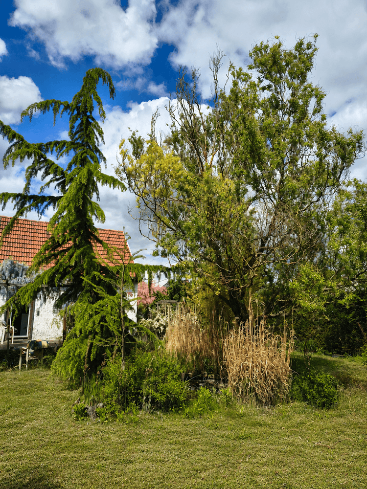 Prodej domu 70 m², pozemek 1.054 m², Hoppegarten, Braniborsko Prodej domu 70 m², pozemek 1.054 m², Hoppegarten, Braniborsko