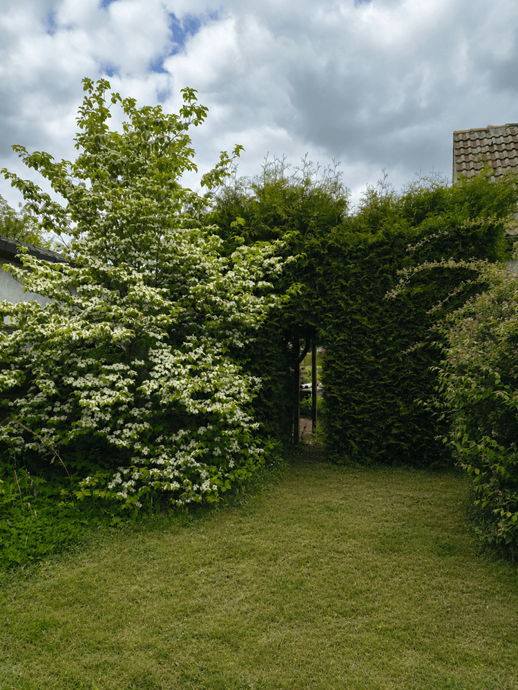 Prodej domu 70 m², pozemek 1.054 m², Hoppegarten, Braniborsko Prodej domu 70 m², pozemek 1.054 m², Hoppegarten, Braniborsko