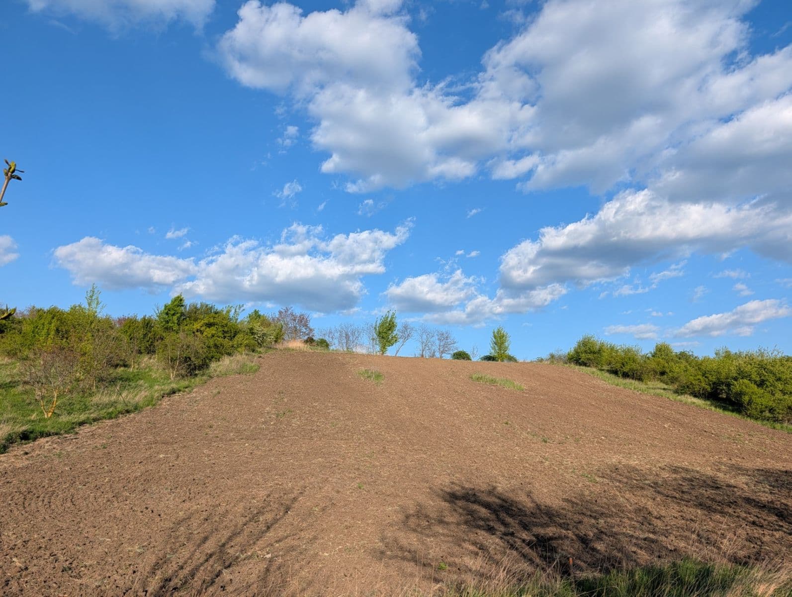 Prodej pozemku 620 m², Nosislav, Jihomoravský kraj Prodej pozemku 620 m², Nosislav, Jihomoravský kraj