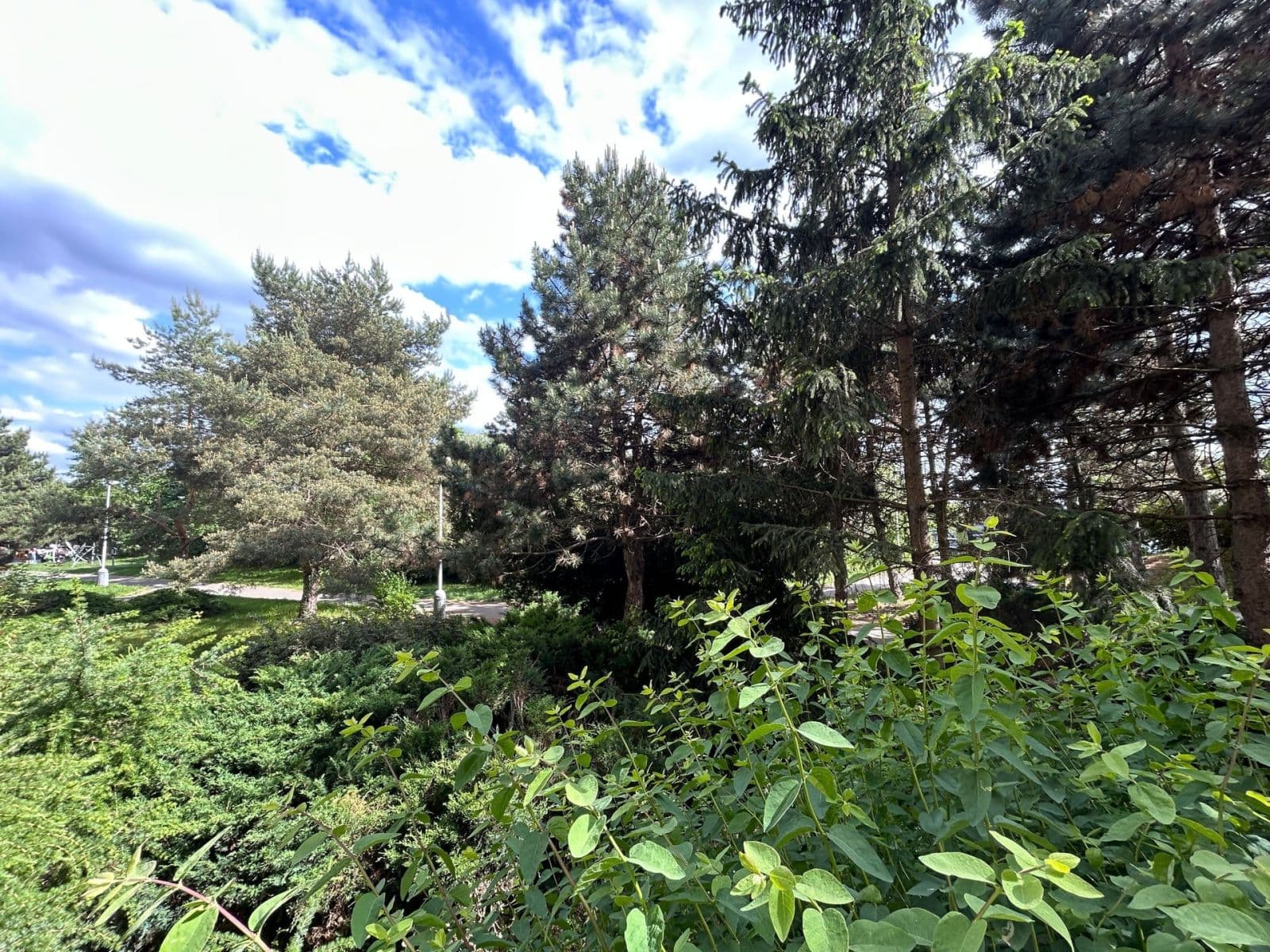 Pronájem bytu 1+kk 49 m², Bellušova, Praha, Praha Pronájem bytu 1+kk 49 m², Bellušova, Praha, Praha