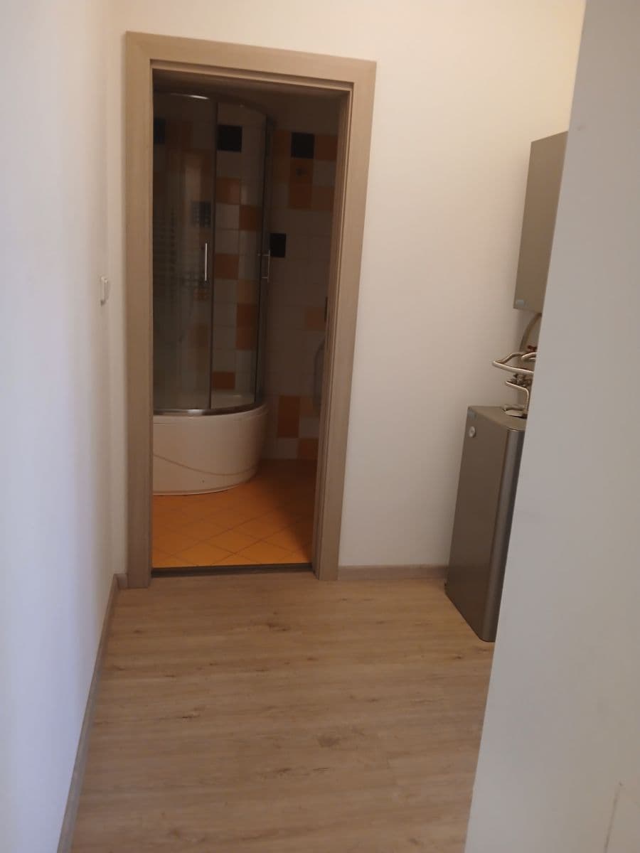Pronájem bytu 1+kk 27 m², Kounicova, Brno, Jihomoravský kraj Pronájem bytu 1+kk 27 m², Kounicova, Brno, Jihomoravský kraj