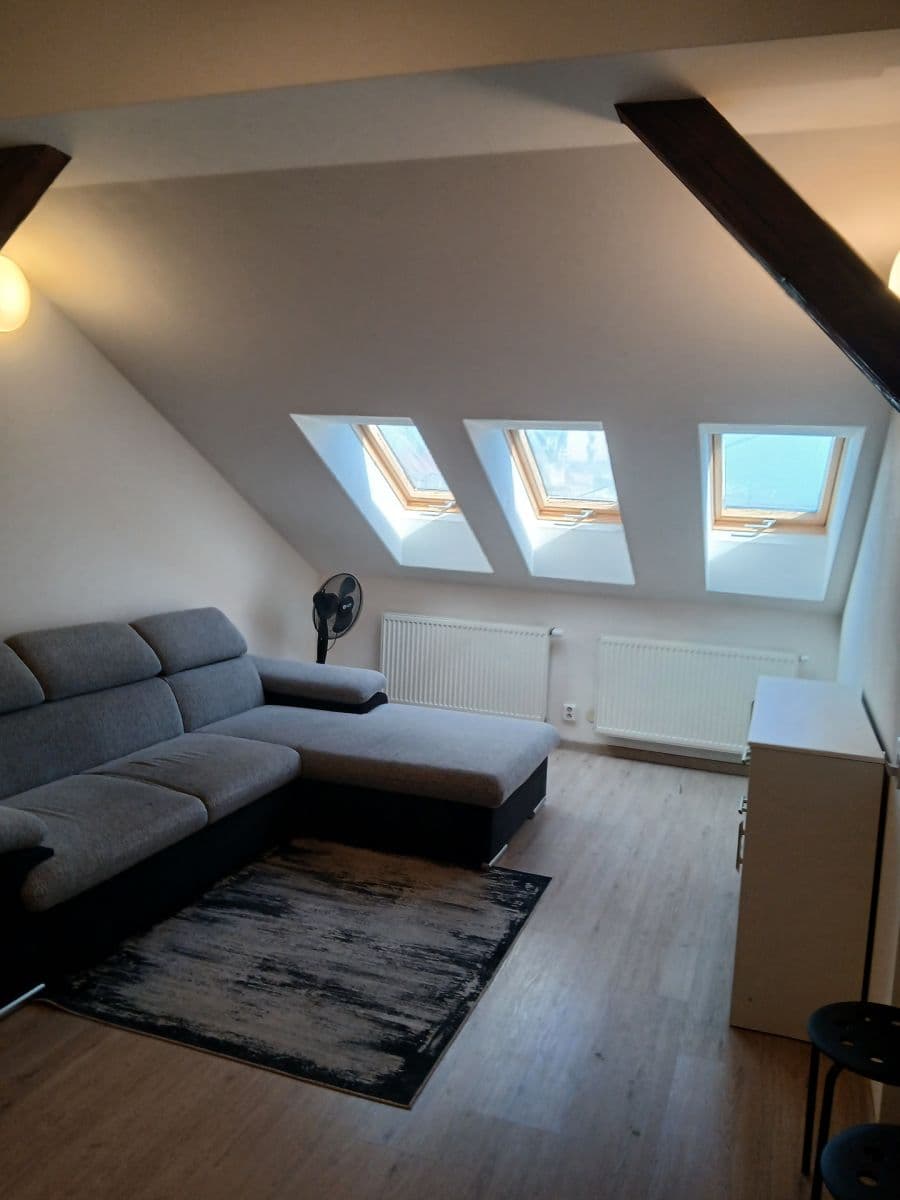 Pronájem bytu 1+kk 27 m², Kounicova, Brno, Jihomoravský kraj Pronájem bytu 1+kk 27 m², Kounicova, Brno, Jihomoravský kraj