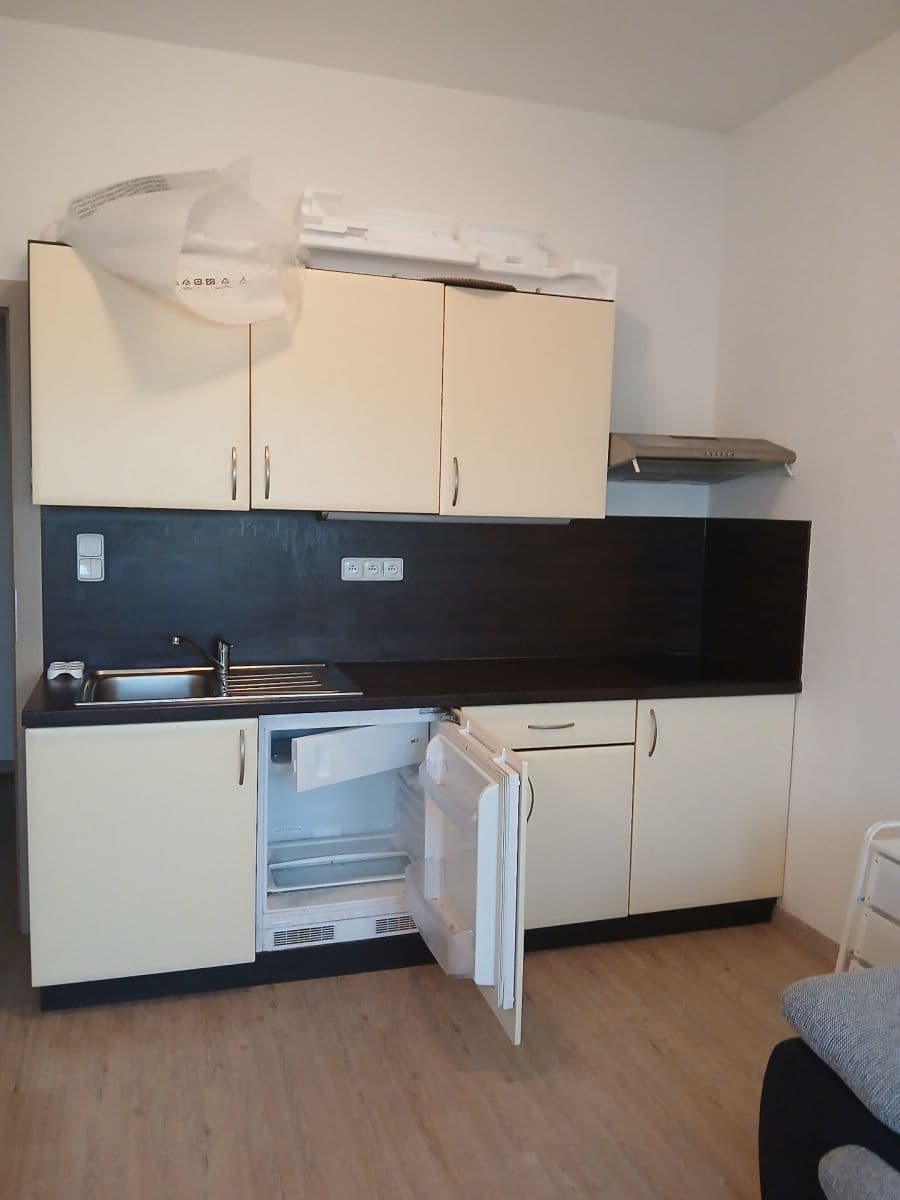 Pronájem bytu 1+kk 27 m², Kounicova, Brno, Jihomoravský kraj Pronájem bytu 1+kk 27 m², Kounicova, Brno, Jihomoravský kraj