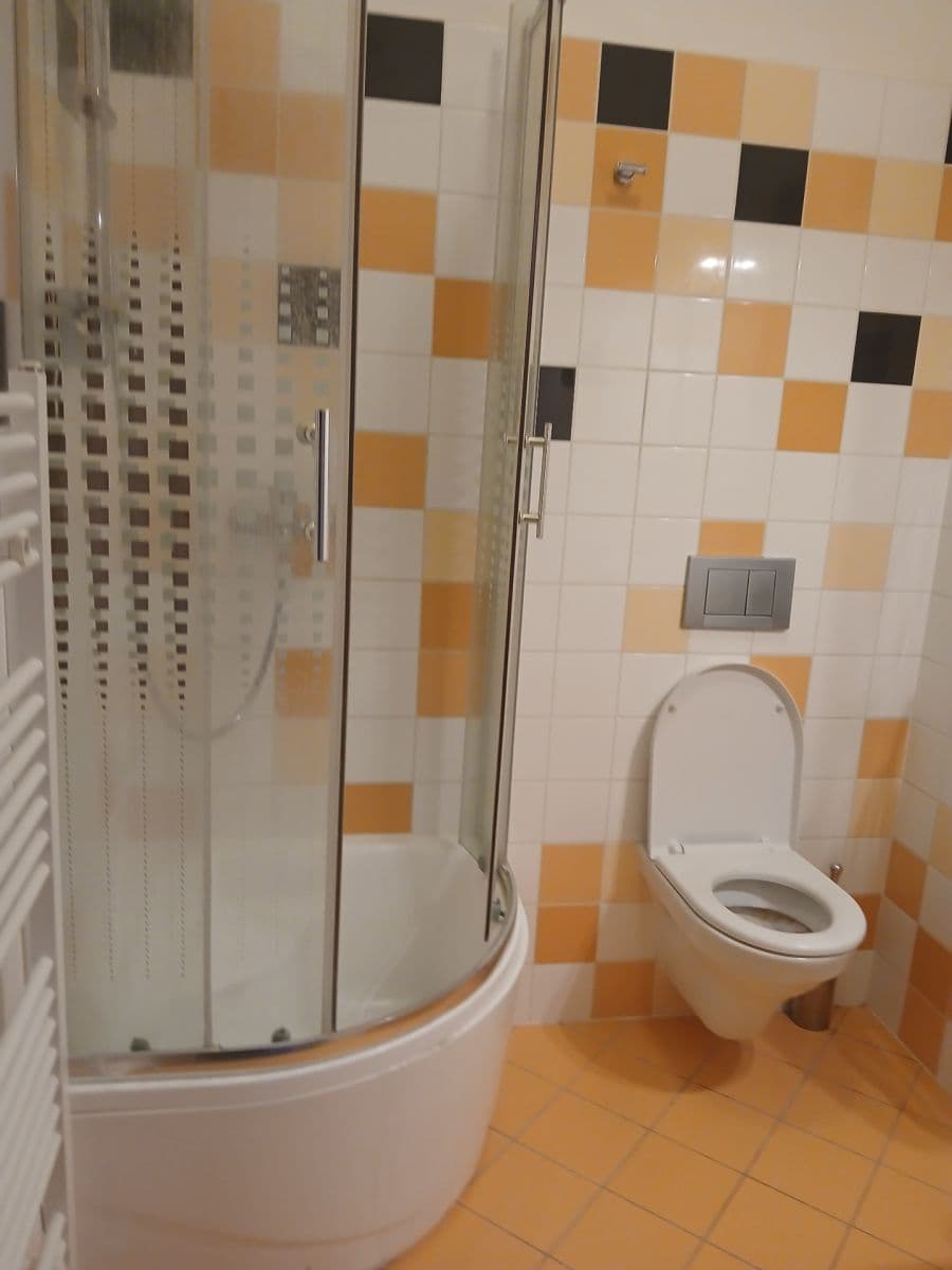 Pronájem bytu 1+kk 27 m², Kounicova, Brno, Jihomoravský kraj Pronájem bytu 1+kk 27 m², Kounicova, Brno, Jihomoravský kraj