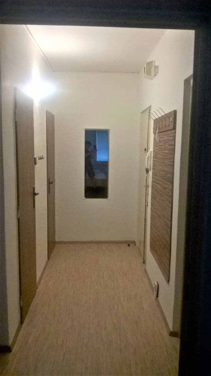 Pronájem bytu 2+1 57 m², Fričova, Brno, Jihomoravský kraj Pronájem bytu 2+1 57 m², Fričova, Brno, Jihomoravský kraj