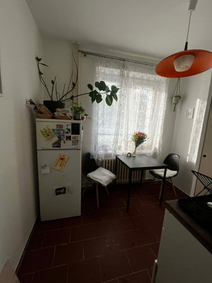 Pronájem bytu 1+1 39 m², náměstí SNP, Brno, Jihomoravský kraj Pronájem bytu 1+1 39 m², náměstí SNP, Brno, Jihomoravský kraj