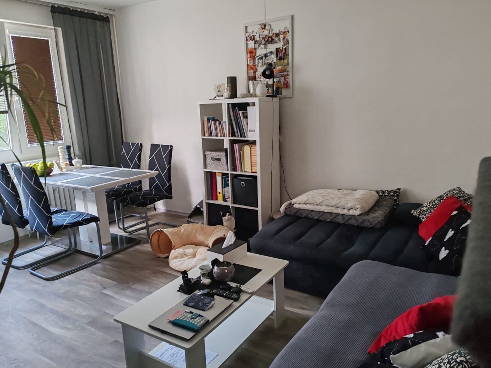 Pronájem bytu 3+1 68 m², Mazánkova, Ústí nad Orlicí, Pardubický kraj Pronájem bytu 3+1 68 m², Mazánkova, Ústí nad Orlicí, Pardubický kraj