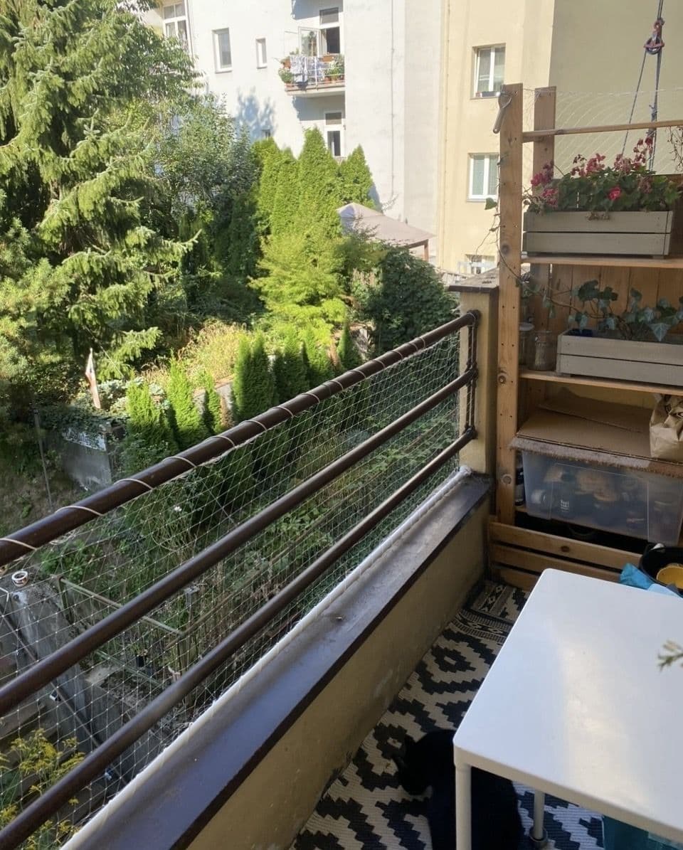 Pronájem bytu 2+1 43 m², Francouzská, Brno, Jihomoravský kraj Pronájem bytu 2+1 43 m², Francouzská, Brno, Jihomoravský kraj