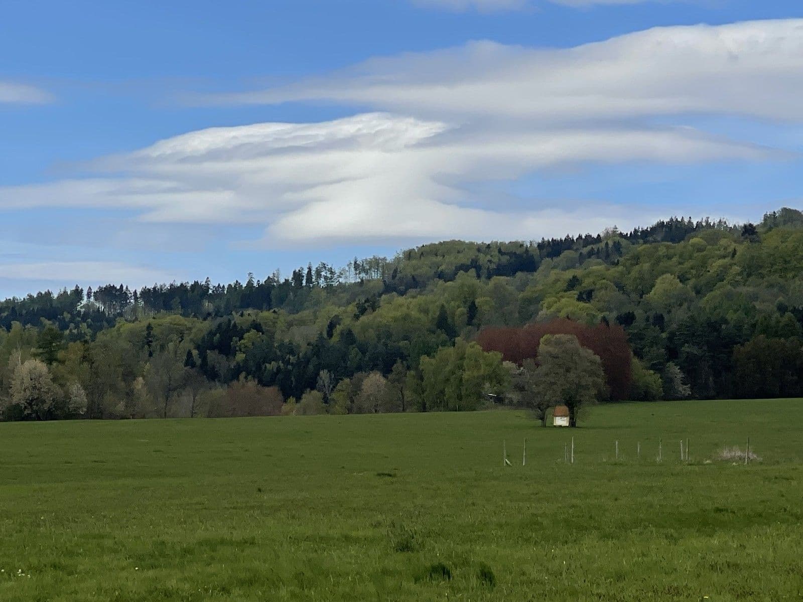 Prodej pozemku 1.506 m², Křižany, Liberecký kraj Prodej pozemku 1.506 m², Křižany, Liberecký kraj