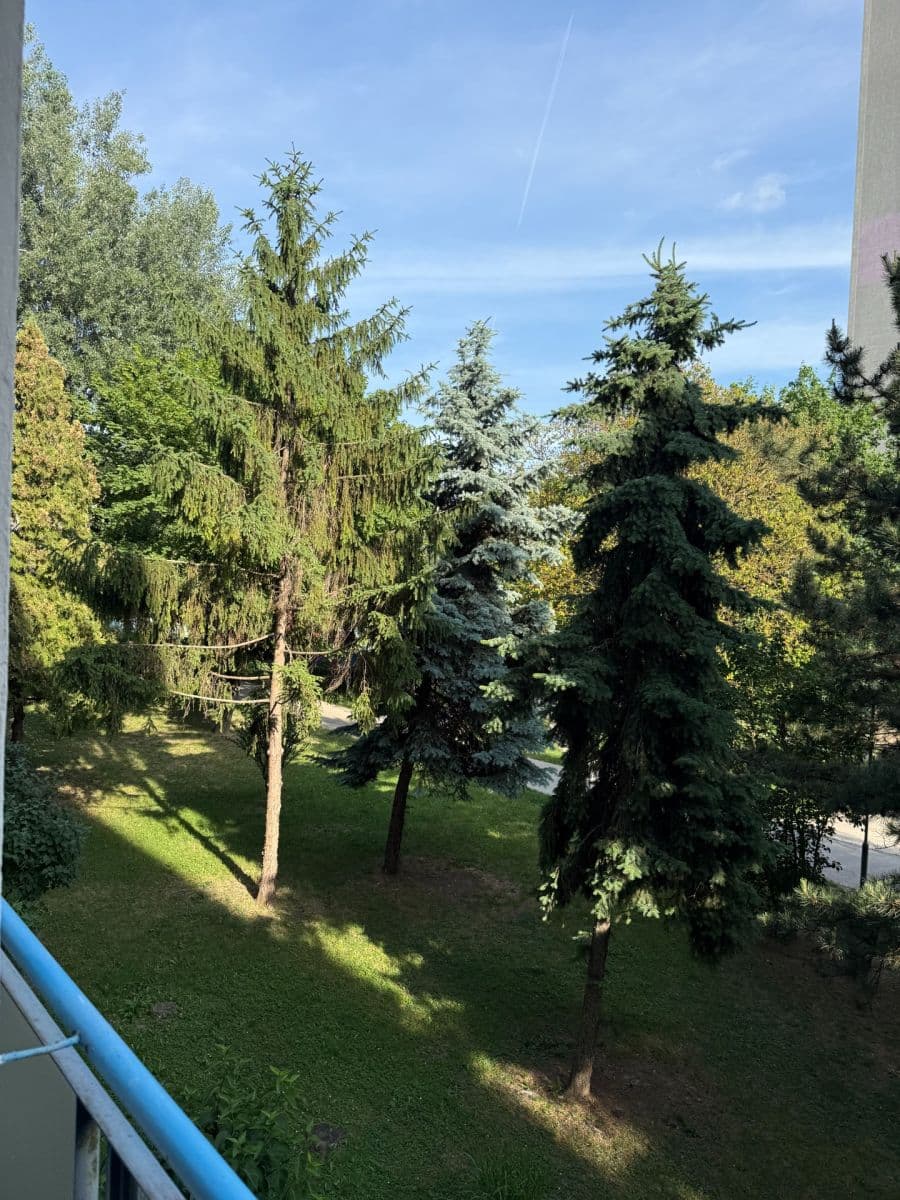 Pronájem bytu 2+1 46 m², Astrová, Ružinov, Bratislavský kraj Pronájem bytu 2+1 46 m², Astrová, Ružinov, Bratislavský kraj