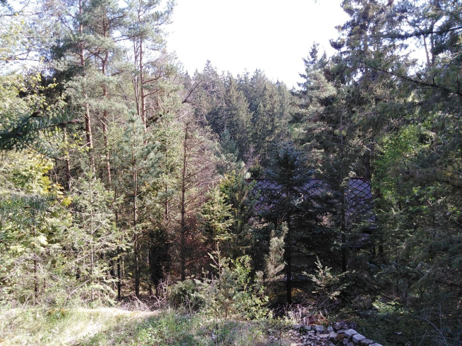 Prodej chaty, chalupy 29 m², pozemek 1.147 m², Malá Hraštice, Středočeský kraj Prodej chaty, chalupy 29 m², pozemek 1.147 m², Malá Hraštice, Středočeský kraj